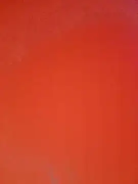 Norayaink's cam snapshot