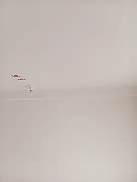 rimadasdas008's web cam