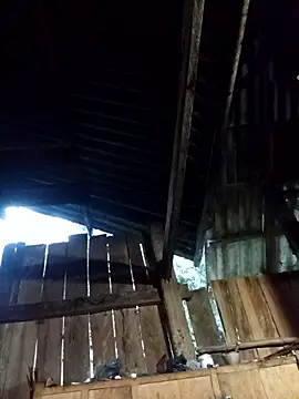 Ngocmi909's cam snapshot