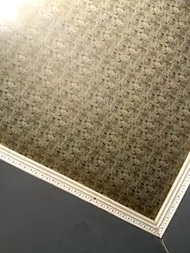 Tookey012 live sex cam