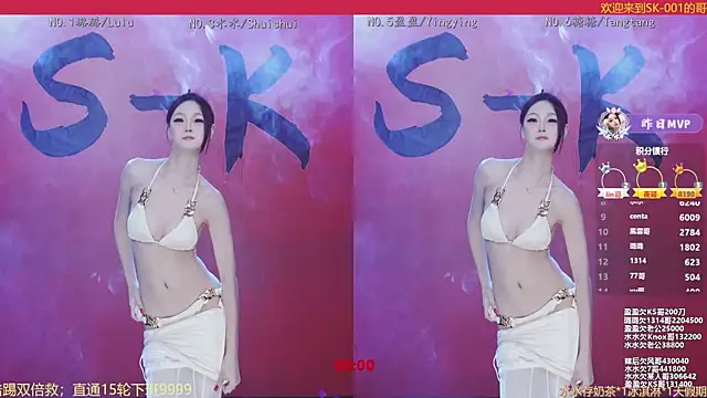 SK-001's cam snapshot