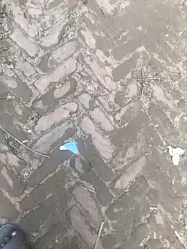 GapingConker's cam snapshot