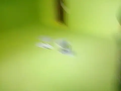 Adrianka's cam snapshot