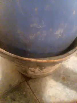 latarak321 live sex cam