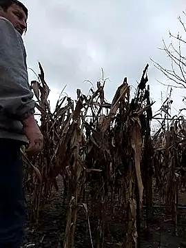 sarpe4's cam snapshot