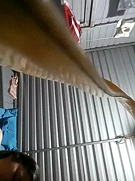 matbiec-'s cam snapshot