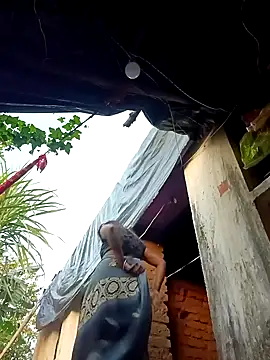 cute_diya_12 live sex cam