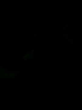 wsyx326 live sex cam