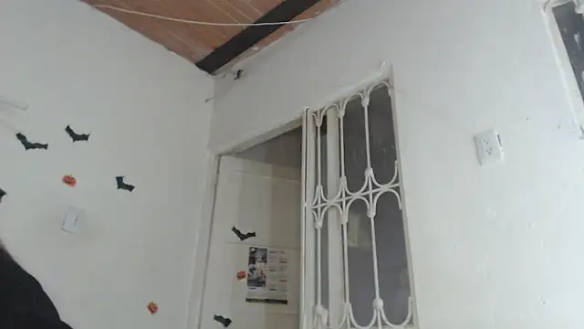 skinny_sweet2411's cam snapshot