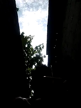 _andytop's cam snapshot