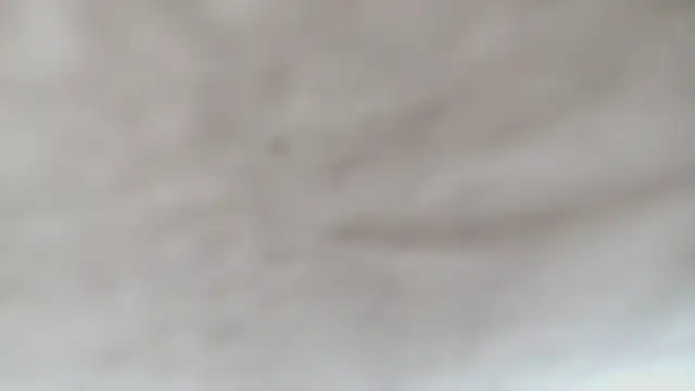 dear_mia_'s cam snapshot