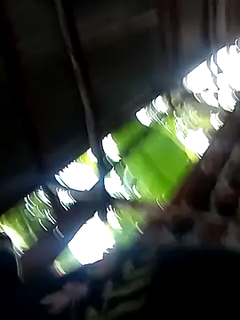 stable_23's cam snapshot