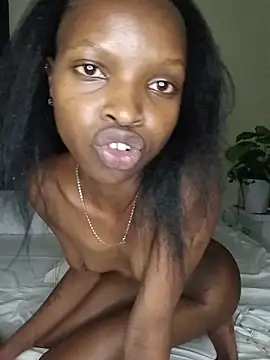 Nedambale's cam snapshot