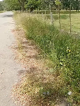 charlotte_dante212's cam snapshot