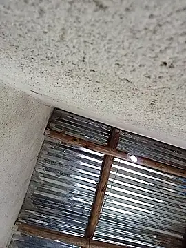 lilpip's cam snapshot