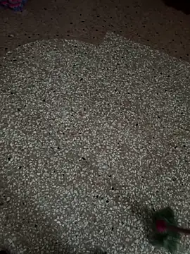 Diegodaddy01's cam snapshot