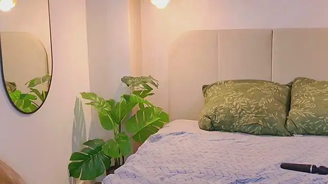 _Velin's cam snapshot