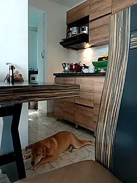 LEIRIS_Y_FRED_01's cam snapshot