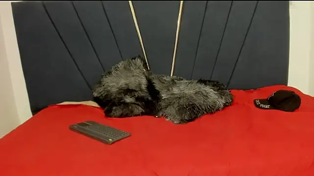 ryder_cum23 live sex cam