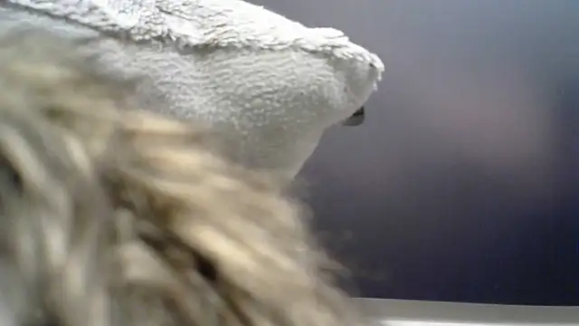 lucian_red's cam snapshot