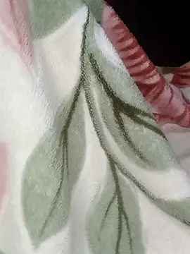 2soyte's cam snapshot