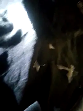 hahahihi2k's web cam