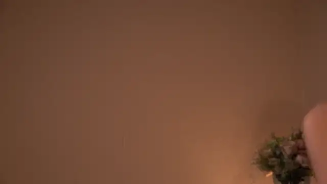 Hi_my_name_is live sex cam