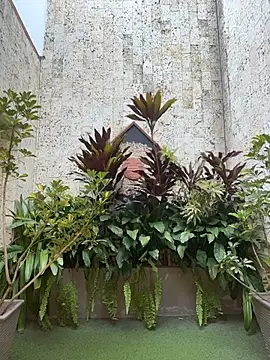 kiim_taaylor live sex cam