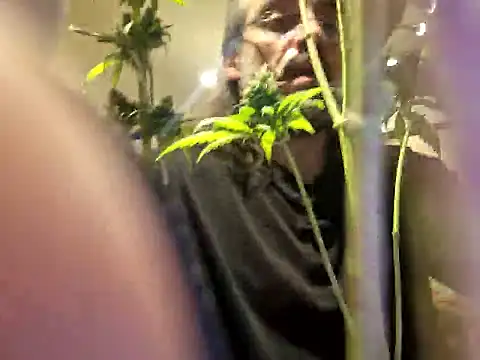 stavroun's cam snapshot