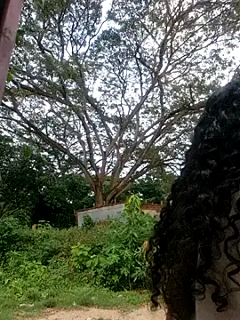 _kimberlly's cam snapshot