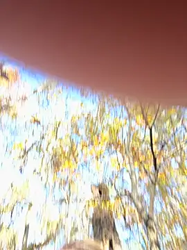 bb_empress's cam snapshot