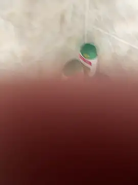 Hugo76578's cam snapshot