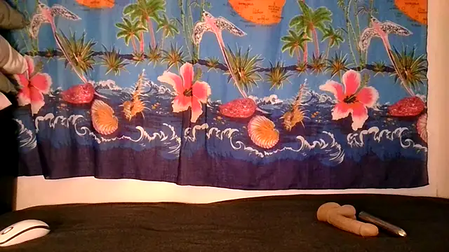 laetitiafun's cam snapshot