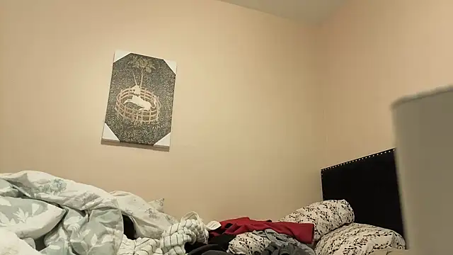 hailzeffn's cam snapshot