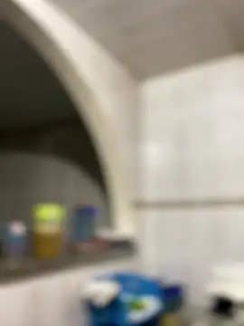 Carola-Ross's cam snapshot