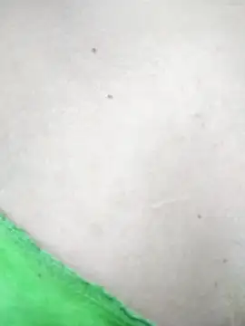 Kelsie_Williams's cam snapshot