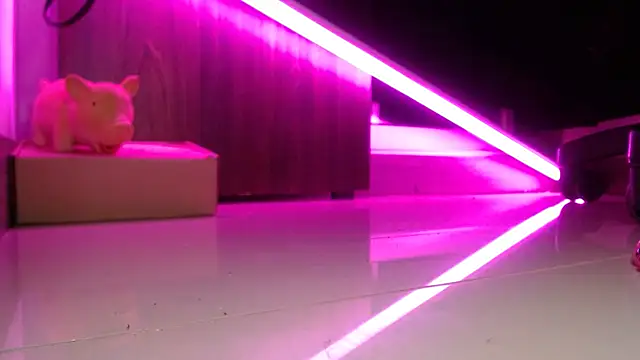 yourmajesty's cam snapshot