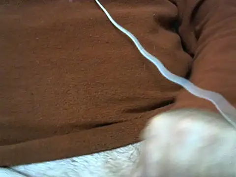 vuran691's cam snapshot