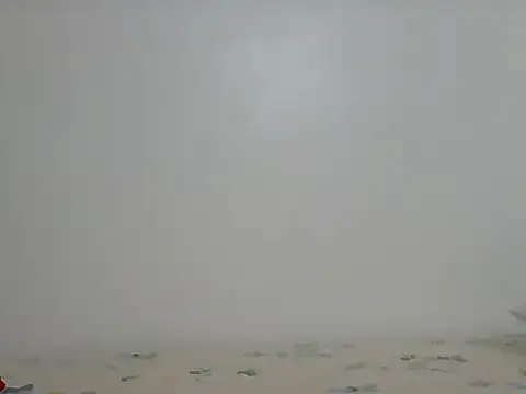 DADDYS_shuga's cam snapshot