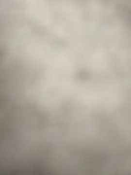 Curvy_Pounder's cam snapshot