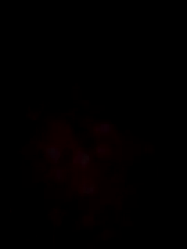 Finallytty_womandportypat's web cam