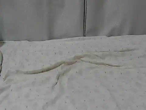 banitah's cam snapshot