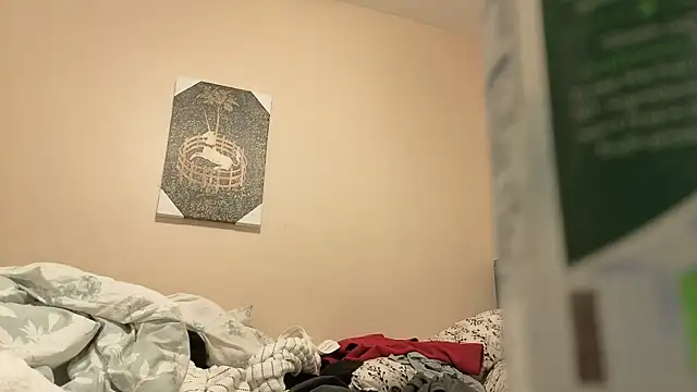 hailzeffn's cam snapshot