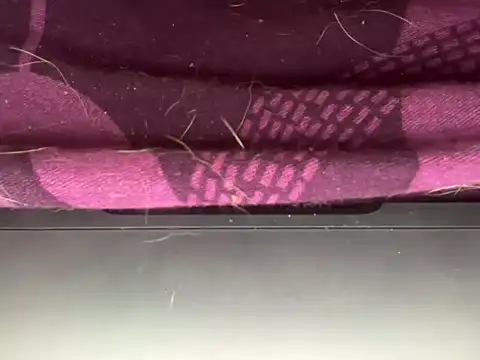 LustyDuoSecrets's cam snapshot