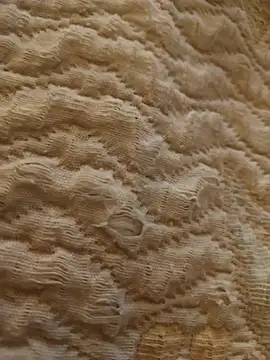 ARAB_WILD_MATURE's cam snapshot