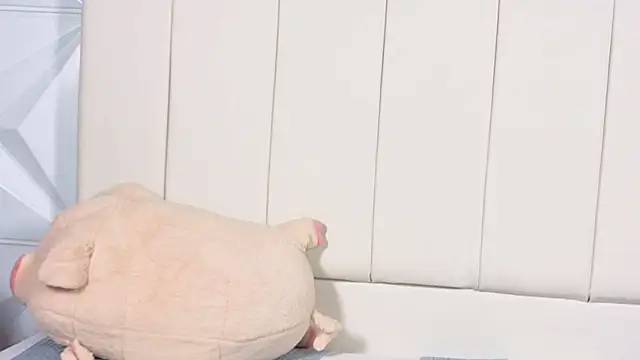 Luna__grace's cam snapshot