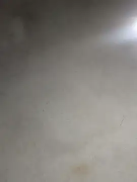 _violetta_-'s cam snapshot