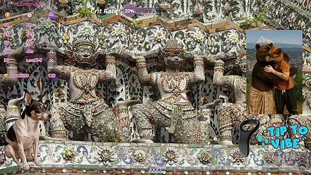 Tomaz62@xh's cam snapshot