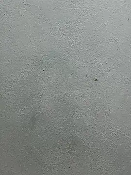 qinejr37's cam snapshot