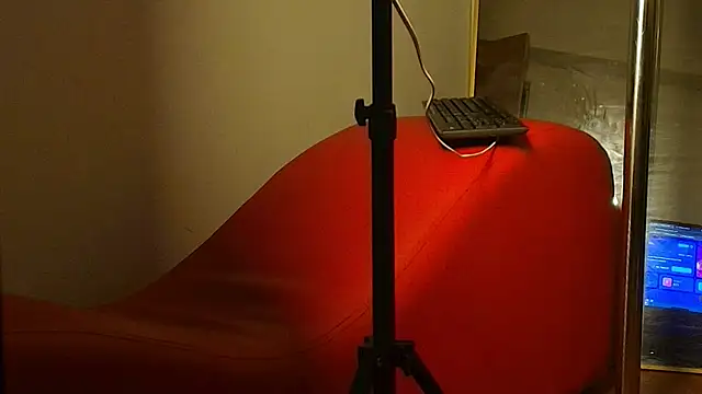 _DantFox_'s cam snapshot